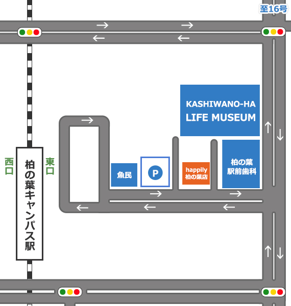 駐車場マップ
